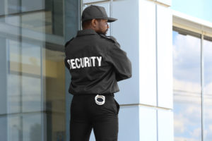 Talon Premier Security Professionals